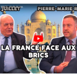 La FRANCE face aux BRICS: étude de cas.